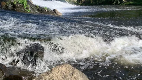 Fish jumping out of water, trying to get over dam in fast-flowing river. Stock Footage 243823615