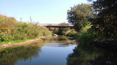 Fish jumping under old rural area rusty bridge over Stagnant Creek Clear Stock Footage
