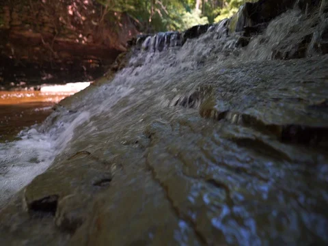 Fish Jumping upstream into waterfall to spawn Stock-Footage 77167075