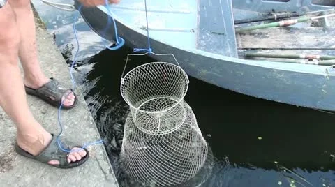 Fish in the keep net 2 Stock Footage 12714422