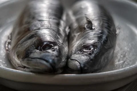 Fish in the kitchen before cooking Stock Photos
