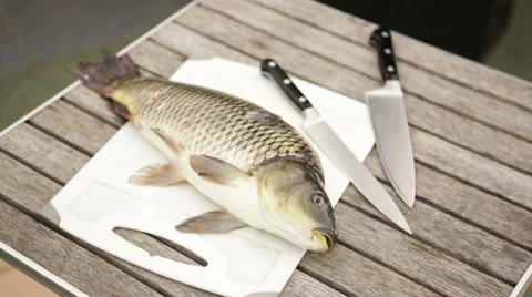Fish on the kitchen table Stock Footage 57950593