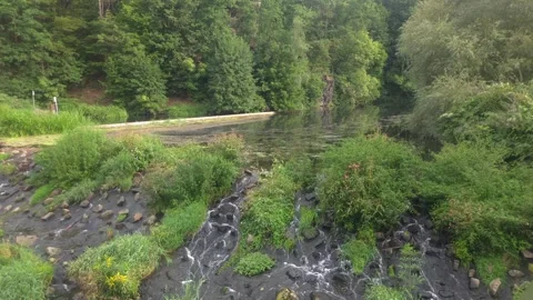 Fish Ladder on the Chemnitz River in Schweizerthal, Saxony, Germany Stock Footage 345255416