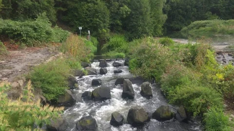 Fish Ladder with Flowing Water on the Chemnitz River in Saxony, Germany Stock Footage 345255373