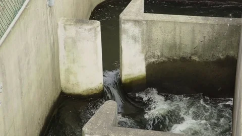 Fish ladder on the lehigh river Stock Footage 72321883