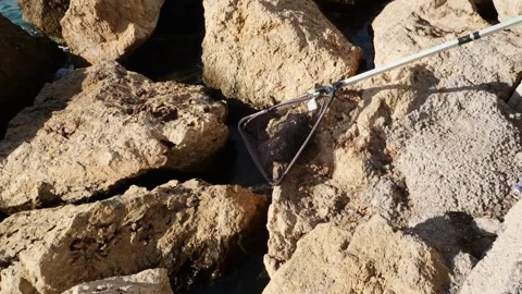 Fish landing net resting over rocks Stock Footage 325380680