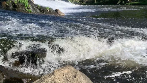Fish leaping out of fast flowing water in river. Chub trying to get over weir. Stock Footage 243823625