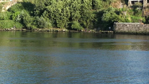 Fish leaping from the water on River Ave, Vila do Conde, Portugal in slow motion Stock Footage 132227942