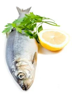 Fish with lemon Stock Photos