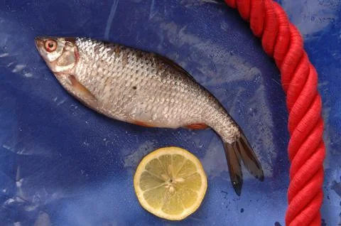 Fish with lemon rumor 스톡 사진