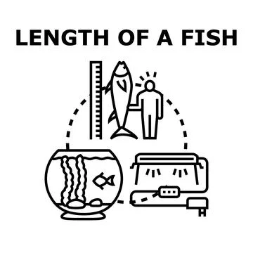 Fish length measuring and aquarium care concept Stock Illustration