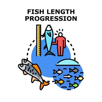 Fish length progression measuring growth in aquatic life Stock Illustration