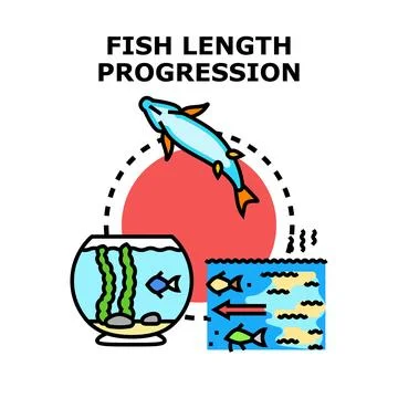 Fish length progression representing growth and evolution Stock Illustration