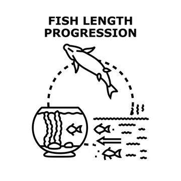 Fish length progression representing growth and evolution Stock Illustration