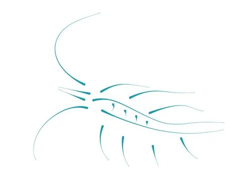 Fish line art icon vector illustration on a clean white background. Stock Illustration