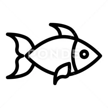 Fish line icon. Aquatic vector illustration isolated on white. Seafood  outline: Graphic #95751149
