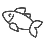 Fish line icon. Aquatic vector illustration isolated on white