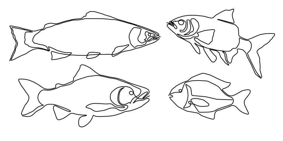 Fish line salmon continuous vector art icon tuna drawing trout seafood. Salmon Stock Illustration