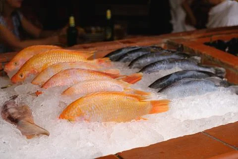 Fish lined up on ice. Freshly caught red sea bass. The counter at the seafood Stock Photos