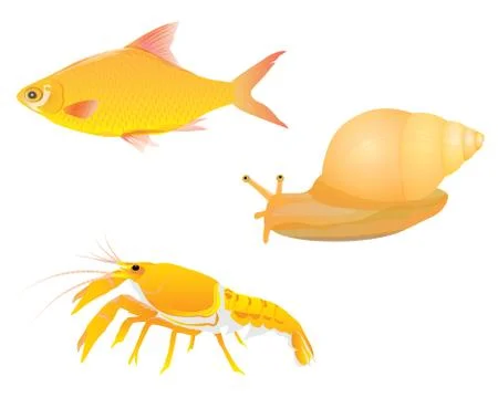 Fish lobster snail vector design Stock Illustration