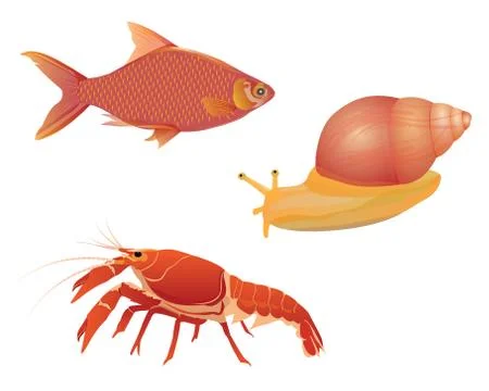 Fish lobster snail vector design Stock Illustration