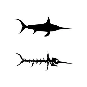 Fish logo template Creative vector symbol of fishing club or online Stock Illustration