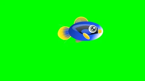 Fish Looping on Chroma Key for Compositing Stock Footage 336959201