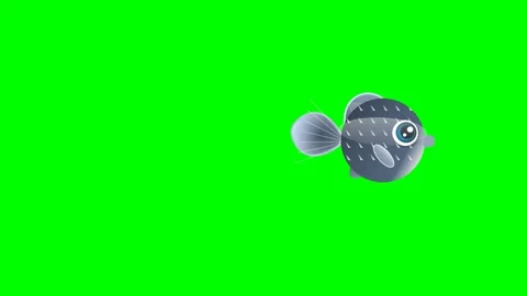 Fish Looping - Chroma Key Green Screen Footage Stock Footage 336960470