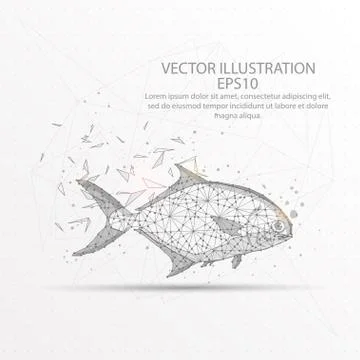 Fish low poly wire frame on white background. Stock Illustration