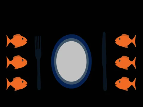 Fish lunch Stock Footage 81071232