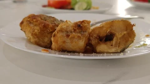 Fish Lunch Stock-Footage 313451800