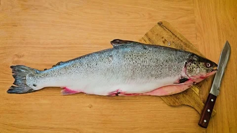 Fish lying on cutting board with flies crawling on skin. Insect swarming around Stock Footage 316591626
