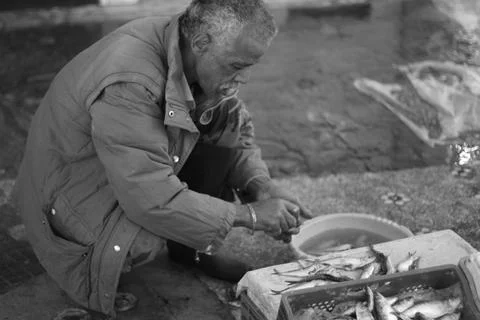 Fish man Stock Photos