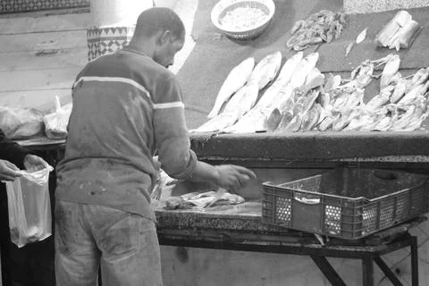 Fish man work Stock Photos