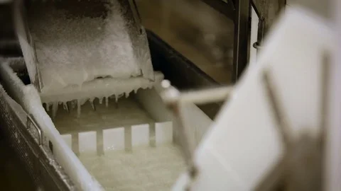 Fish Manufacturing Line. Washing Process. Empty Plastic Conveyer With Water Stock Footage 73902719