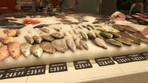 Fish Market 4K Stock Footage 139514229