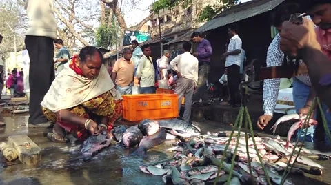 Fish Market and processing of raw fish Stock Footage 47963613