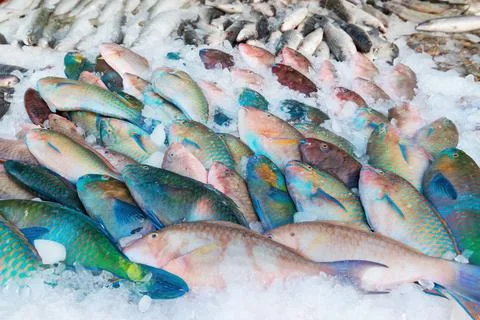 Fish in a market background 스톡 사진