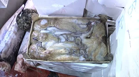 Fish Market in Catania. Stock Footage 8963380