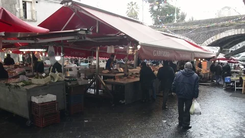 Fish market of Catania Stock Footage 73302542