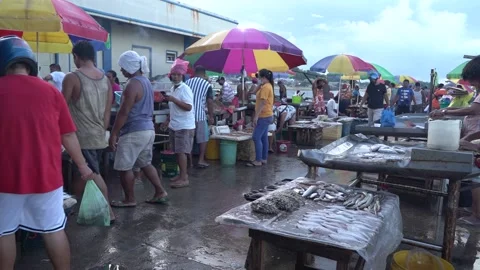 Fish market in Catbalogan, Samar Stock Footage 229646569