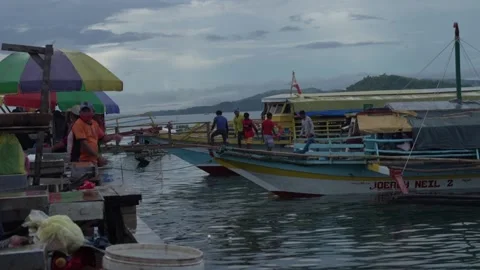 Fish market in Catbalogan, Samar Stock Footage 229647047