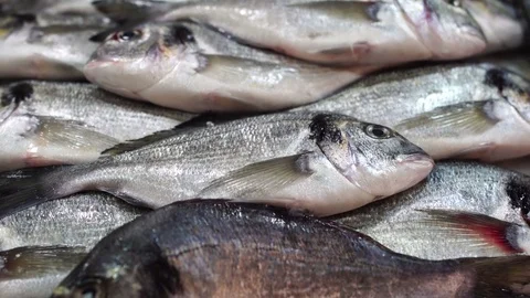 Fish Market Close Up Details Stock Footage 80688528