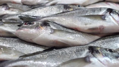 Fish Market Close Up Details Stock Footage 80688574