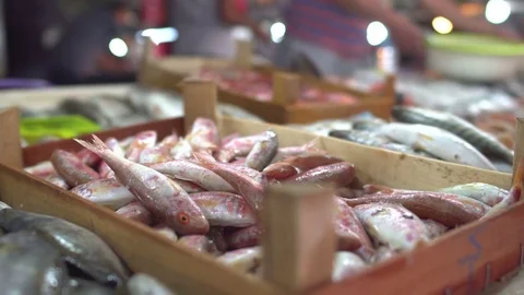 Fish Market Close Up Details Stock Footage 80688643