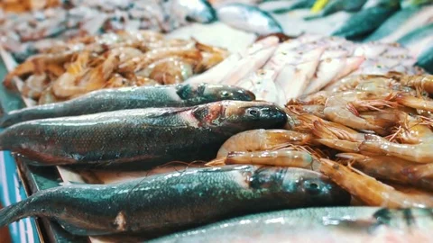Fish Market Close Up Details Stock Footage 80688683