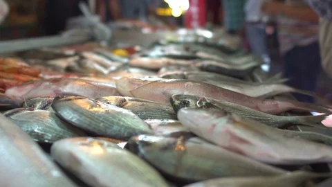 Fish Market Close Up Details Stock Footage 80688700