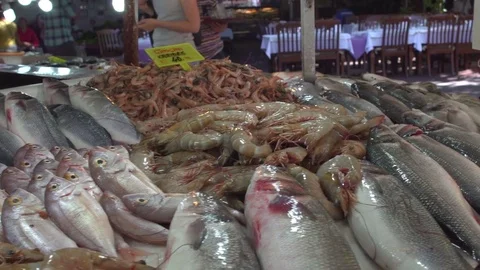 Fish Market Close Up Details Stock Footage 80688734