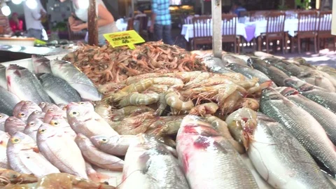 Fish Market Close Up Details Stock Footage 80688740