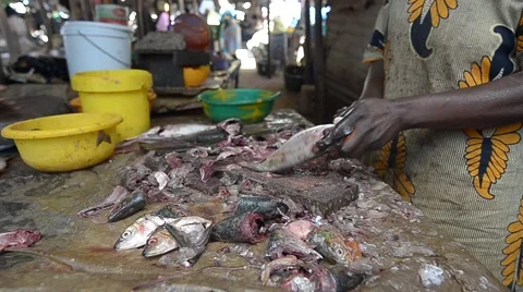 Fish market in Dakar Video stock 40683476